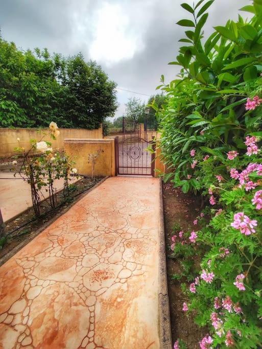 Villetta Di Anastasia 1 Tropea Filandari 외부 사진